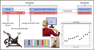 A single bout of moderate-intensity aerobic exercise improves motor learning in premanifest and early Huntington’s disease